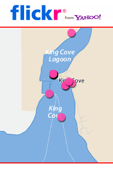 Visit King Cove pics on Flickr